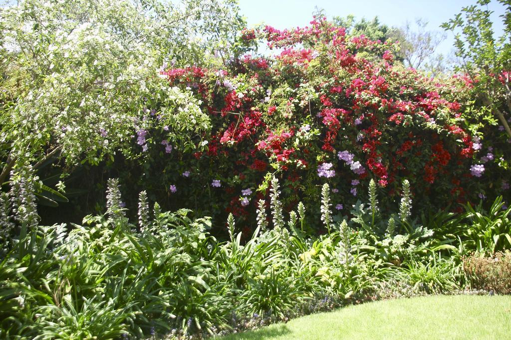Melville Manor Guest House Johannesburg Eksteriør billede