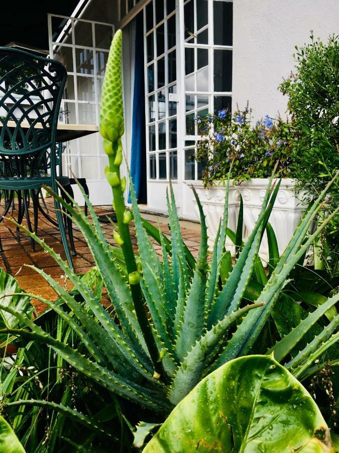 Melville Manor Guest House Johannesburg Eksteriør billede